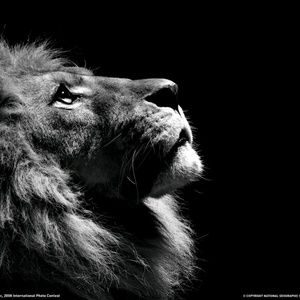 Meet your Posher, Sergio